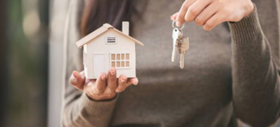  - investissement immobilier