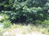Maison neuve à Sucy-en-Brie (94370) 2581215-5772annonce120260913DwhfU.jpeg Berval