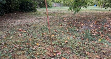 Montévrain Terrain à bâtir - 2675448-11987annonce120261013gSxHK.jpeg Berval