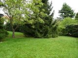 Maison neuve à Maisons-Alfort (94700) 2687970-3175annonce120261023dauTh.jpeg Berval