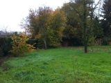 Maison neuve à Maisons-Alfort (94700) 2688021-3175annonce120261023nWqqO.jpeg Berval