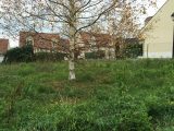 Maison neuve à Carrières-sur-Seine (78420) 2684432-3611annonce120261020amCG9.jpeg Berval