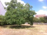 Maison neuve à Bougival (78380) 2686368-3611annonce1202610225JT0a.jpeg Berval