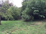 Maison neuve à La Celle-Saint-Cloud (78170) 2689476-3611annonce120261024hPEKJ.jpeg Berval