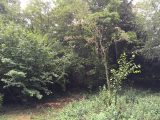 Maison neuve à Saint-Germain-en-Laye (78100) 2689725-3611annonce120261025p8T4C.jpeg Berval