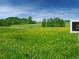 Maison à construire à Presles-en-Brie (77220) 2694988-11895annonce120261029VFKdv.jpeg Berval